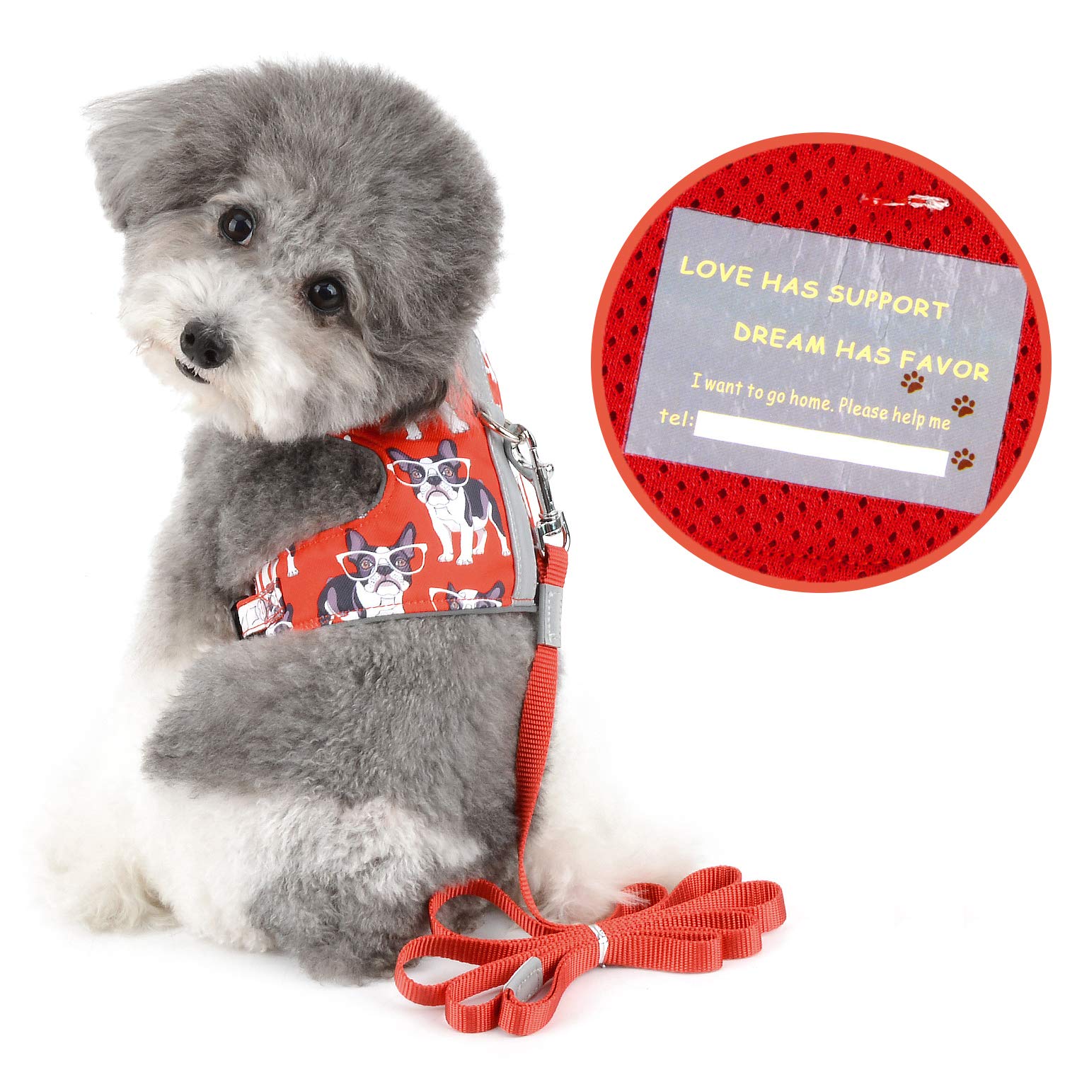 Amazon | RANPHY 犬 ハーネス 小型犬 猫用 ベスト ハーネス リード
